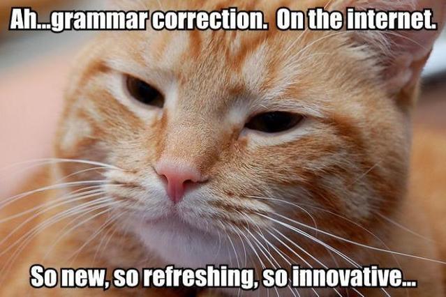 GRAMMAR CORRECTION ON THE INTERNET