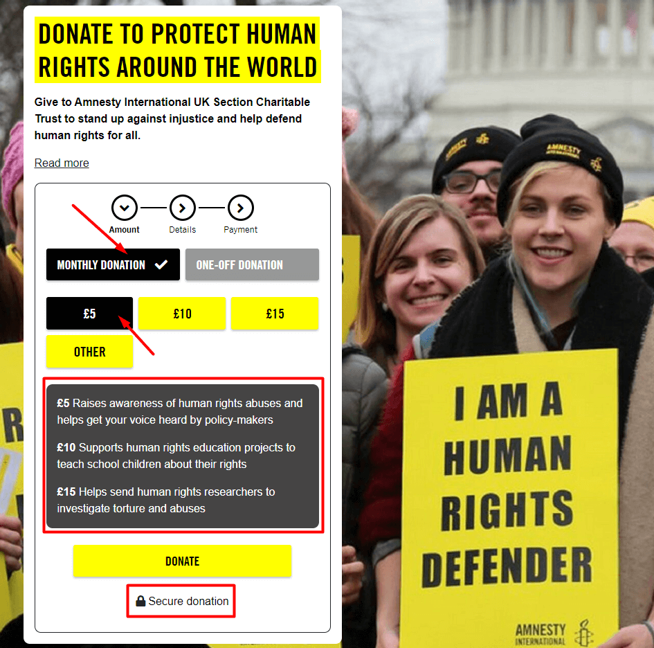 Amnesty donation page