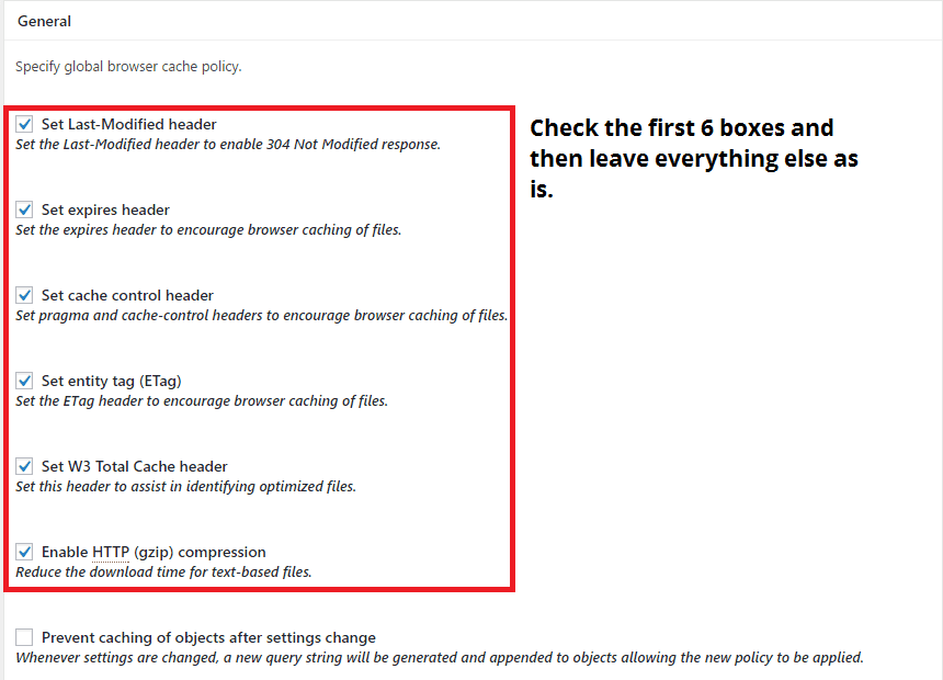 Best Browser cache settings for the W3 Total Cache plugin