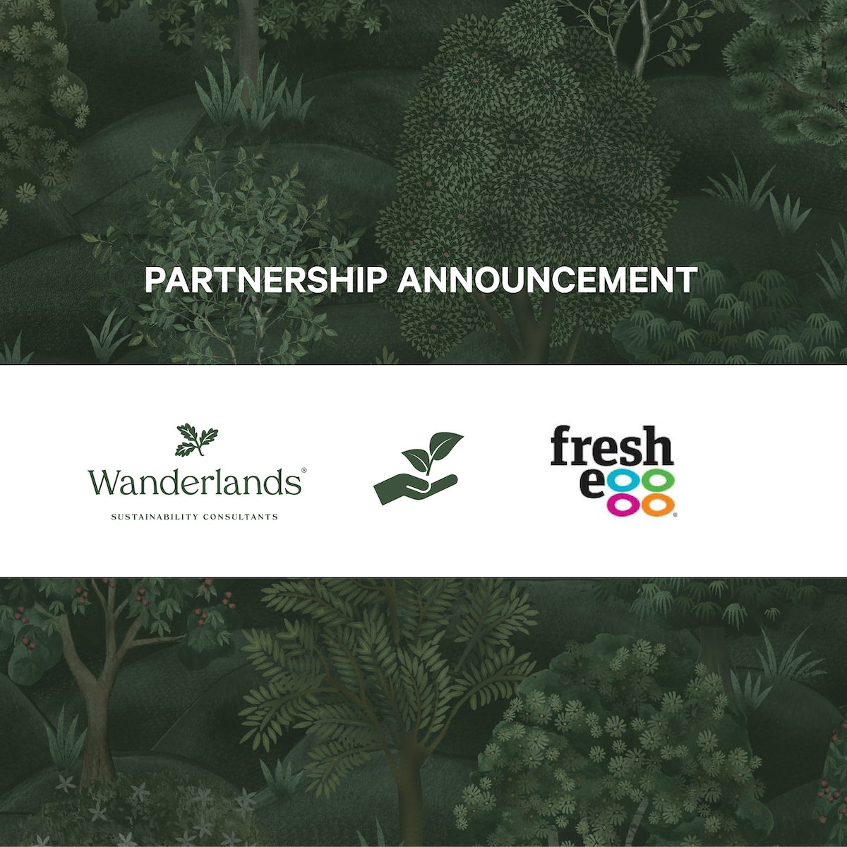 Fresh Egg and Wanderlands sustainability partnership