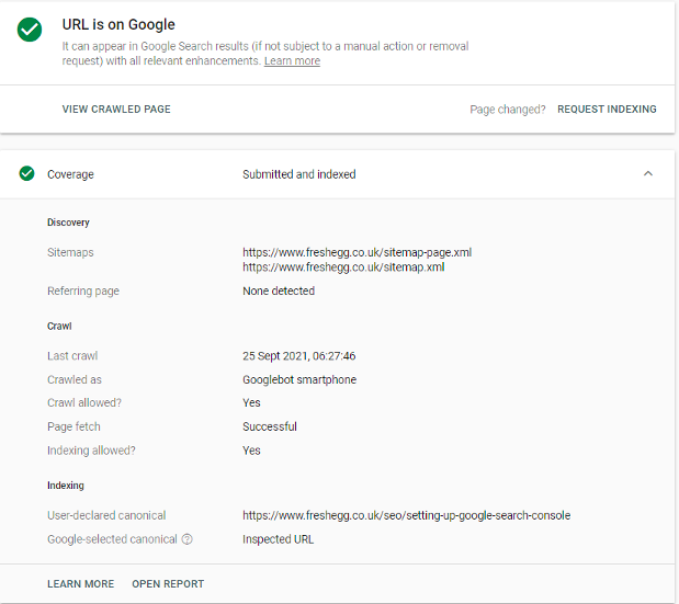 Google Search Console Page Information