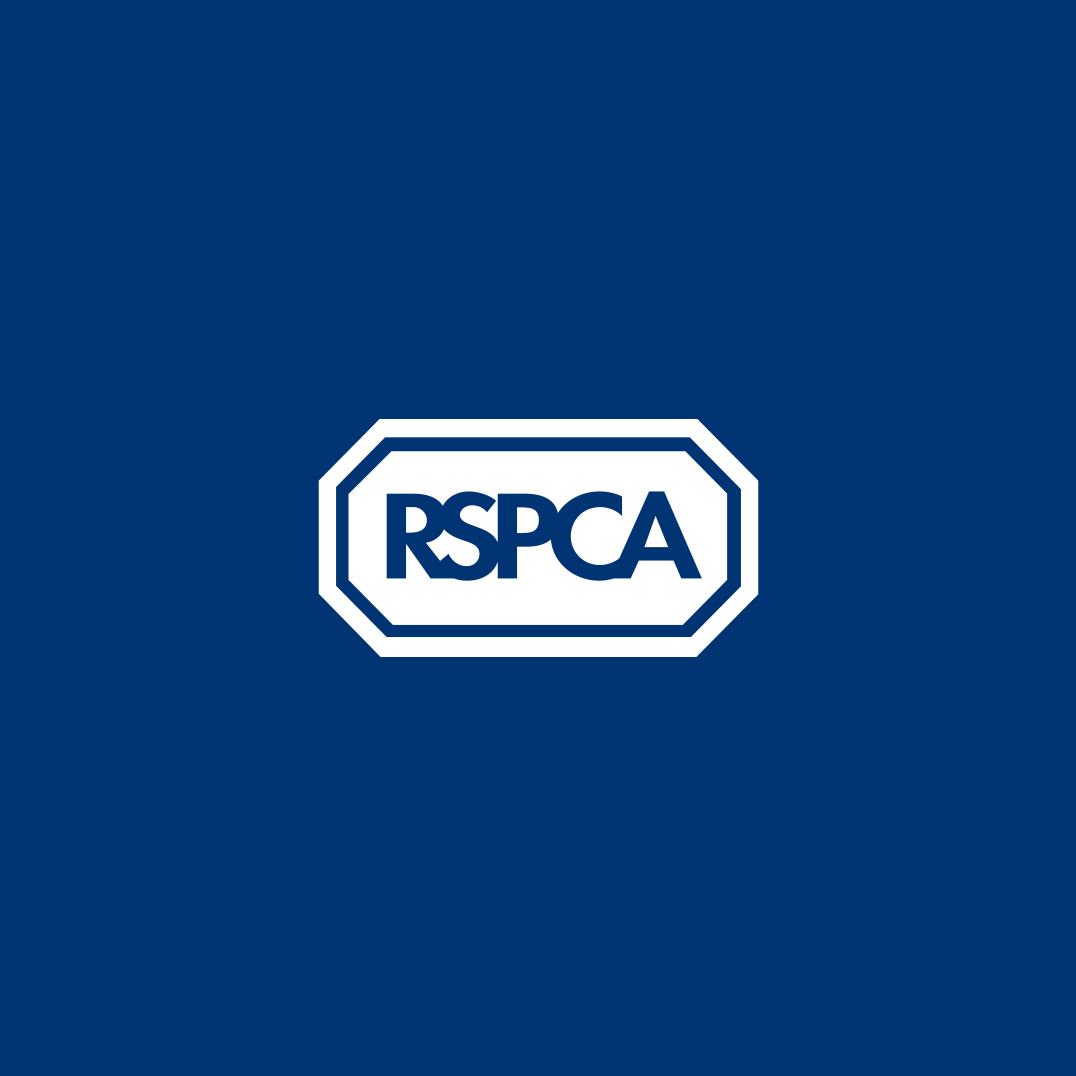 Digital transformation strategy for the RSPCA | Case Study | Fresh Egg