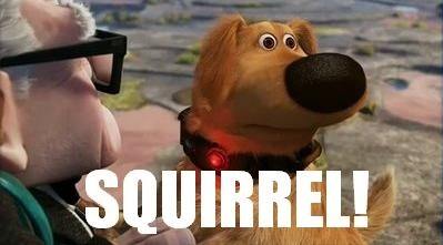 Squirrel from Disney Pixar animation, Up!