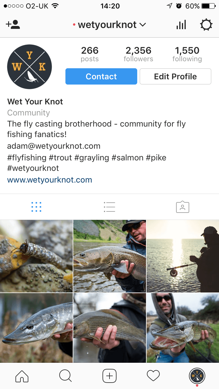 Instagram business profile